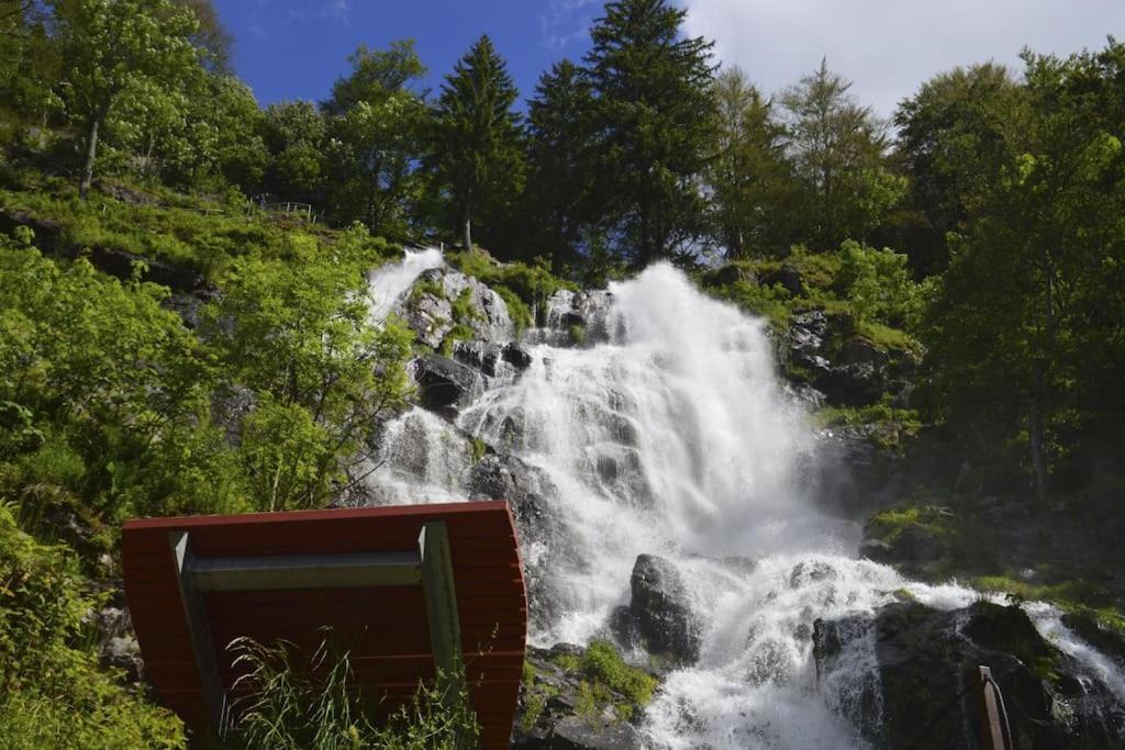 Apartament Sieben Tannen Titisee + Hochschwarzwald Card Zewnętrze zdjęcie
