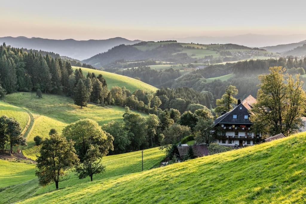 Apartament Sieben Tannen Titisee + Hochschwarzwald Card Zewnętrze zdjęcie